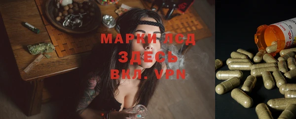 бошки Кукмор