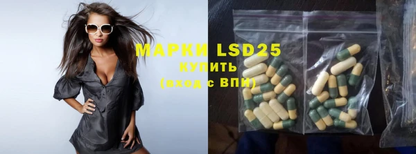ПСИЛОЦИБИНОВЫЕ ГРИБЫ Алзамай