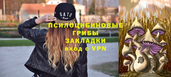 кокс Абдулино
